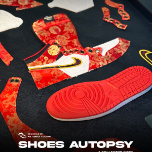 Year of Snake - Mr. Simply Lab - Shoes Autopsy